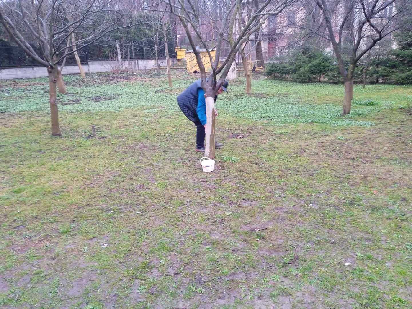 Весняна толока