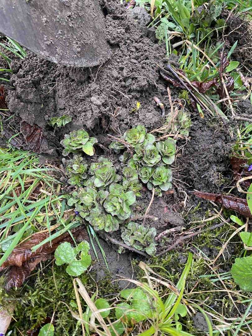 Чиста територія - спільна справа